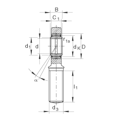 桿端軸承 GAR45-DO-2RS, 根據 DIN ISO 12 240-4 標準，帶右旋外螺紋，需維護，兩側唇密封